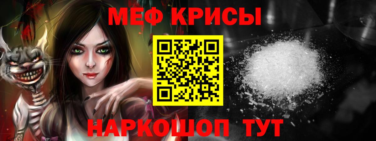 МЕФ  Кингисепп