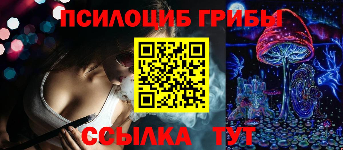 Галлюциногенные грибы Psilocybine cubensis Кингисепп