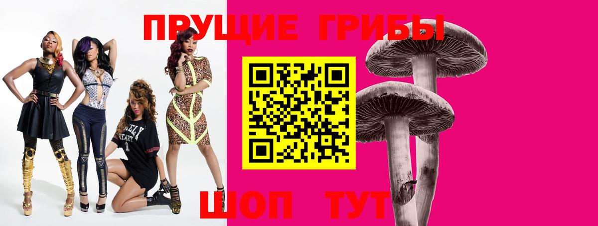 Кингисепп  Галлюциногенные грибы прущие грибы  Псилоцибиновые грибы мицелий  Вход с VPN 